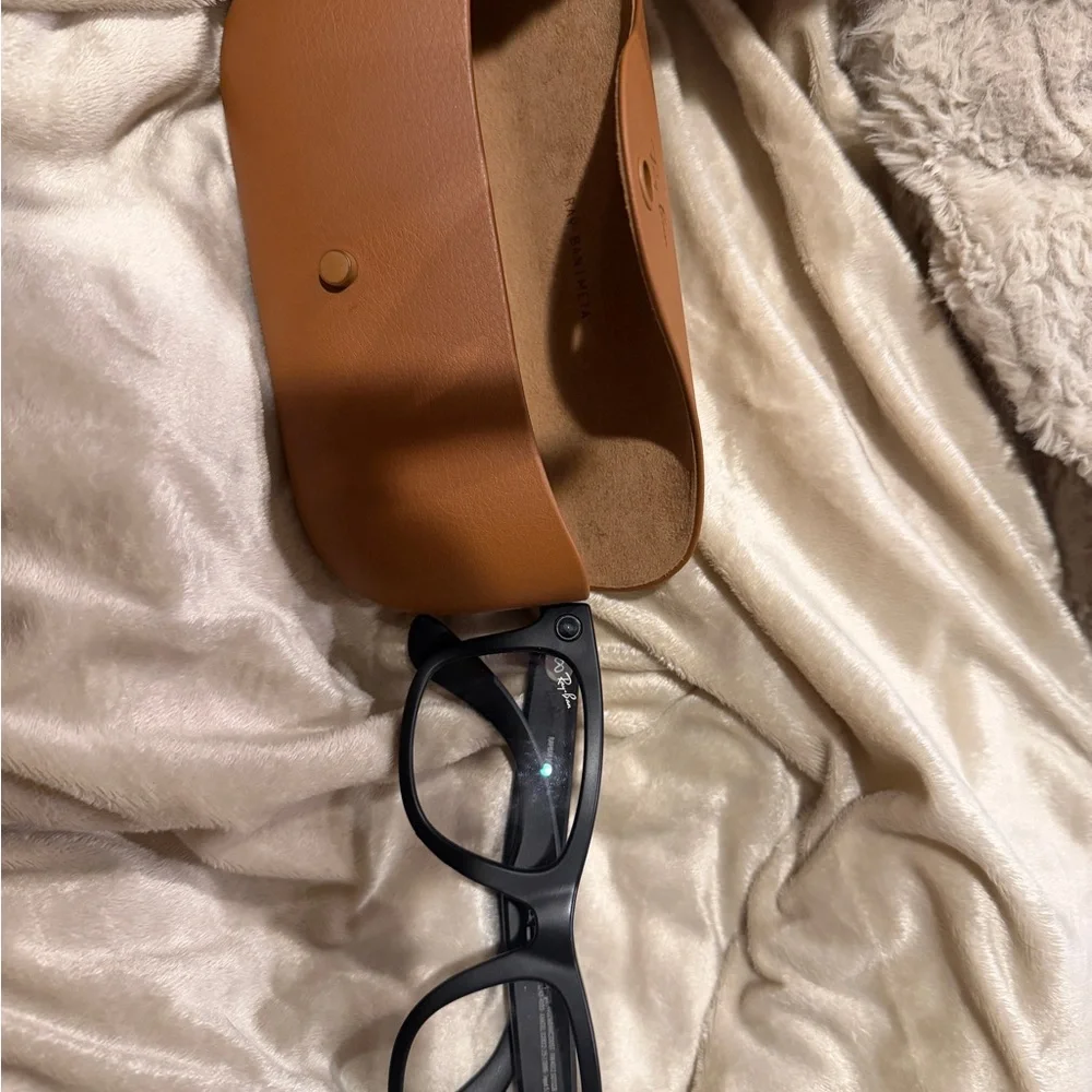Ray-Ban Matte Black Wayfarer Sunglasses